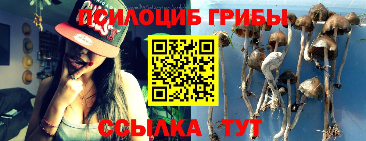 Псилоцибиновые грибы Psilocybe  Вход с VPN  Алапаевск 